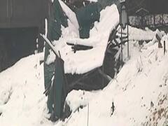 Snowfall in Kashmir damages apple orchards, cripples life