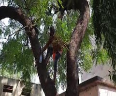 Village News | माझं गाव माझा जिल्हा | राज्याच्या कानाकोपऱ्यातील बातम्यांचा आढावा | ABP Majha