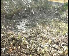 Reporter Stories: বহরমপুরে চলছে পুকুর ভরাট, প্রতিবাদে সরব স্থানীয় কংগ্রেস বিধায়ক, কটাক্ষ তৃণমূলের