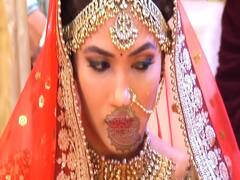 Amrita and Ansh's wedding | Haiwaan: The Monster