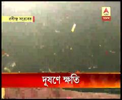রবীন্দ্র সরোবরে ছটপুজো, বিশেষজ্ঞদের মতে, ক্ষতি জলজ প্রাণী, পরিবেশের