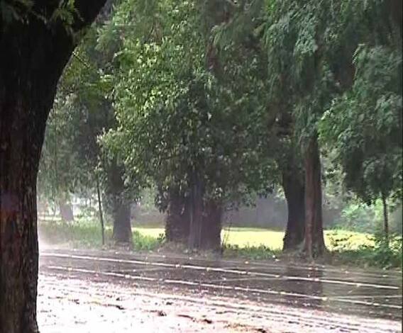 ঘূর্ণিঝড় ‘বুলবুল’ বাংলাদেশে, রবিবারও কলকাতা সহ দক্ষিণবঙ্গে বৃষ্টির পূর্বাভাস