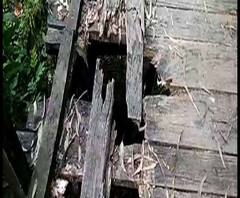 Reporter Stories: পূর্ব মেদিনীপুরের প্রতাপদিঘি খালের ওপর সেতুর দুরবস্থা