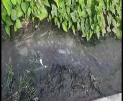 Reporter Stories: জল নিকাশি ঘিরে বিতর্ক, বৈদ্যবাটিতে কাউন্সিলরকে ঘিরে বিক্ষোভ স্থানীয়দের