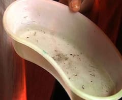 ডেঙ্গি আক্রান্ত হয়ে উডল্যান্ডস হাসপাতালে মৃত্যু হাওড়ার বাসিন্দা ১০ বছরের বালিকার