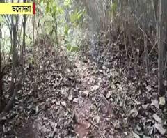  গণধর্ষণের অভিযোগ ভদোদরা ও রাঁচিতেও 