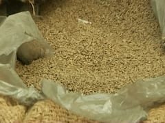 दिल्ली में 19 हजार 4 सौ किलो नकली जीरा बरामद । Master Stroke