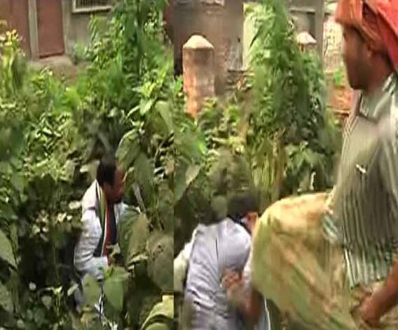 করিমপুরের পিপুলখোলায় লাথি মেরে ফেলে দেওয়া হল জয়প্রকাশ মজুমদারকে, সহানূভূতি আদায়ের চেষ্টা, বলল তৃণমূল