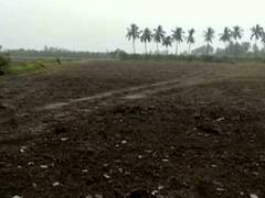 સંઘપ્રદેશ દીવમાં 'મહા'ની આડઅસર, શહેર-દરિયાઇ પટ્ટીમાં ધોધમાર વરસાદ, જુઓ વીડિયો