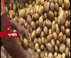 জোগান কম হুগলিতে, বাড়ছে আলুর দাম