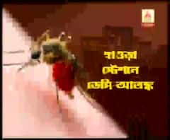 হাওড়া স্টেশনেই এবার ডেঙ্গি আতঙ্ক, জল জমার জেরে বাড়ছে মশার উপদ্রব, আতঙ্কে যাত্রীরা