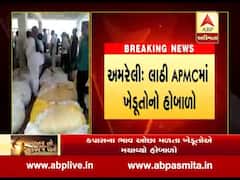 અમરેલીઃ લાઠી એપીએમસીમાં ખેડૂતોએ કેમ મચાવ્યો હોબાળો? જુઓ વીડિયો