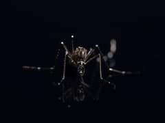 અમરેલીઃ કમોસમી વરસાદને કારણે ખેડૂતોને રવિ પાકને લઈને ચિંતા, જુઓ વીડિયો