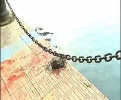 গেট ভেঙে ঢুকে রবীন্দ্র সরোবরে ছটপুজোর প্রস্তুতি শুরু বহিরাগতদের