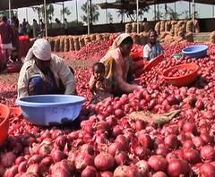 Smart Bulletin | स्मार्ट बुलेटिन | 16 नोव्हेंबर 2019 | शनिवार | ABP Majha