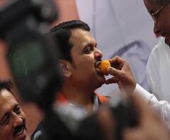 Operation Lotus | बहुमताचा आकडा गाठण्यासाठी राणे, विखे, पाचपुते, नाईक यांच्यावर ऑपरेशन लोटसची विशेष जबाबदारी | ABP Majha 