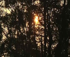 নামল পারদ, আগামী কয়েকদিন সর্বনিম্ন তাপমাত্রা ঘোরাফেরা করবে ১৮ থেকে ২০ ডিগ্রি সেলসিয়াসের মধ্যে