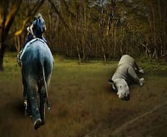 জলদাপাড়া জাতীয় উদ্যানে খড়গ কেটে গন্ডার খুন