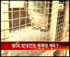 বাঁশদ্রোণীতে জমি হাতাতে ৬টি কুকুরকে বিদ্যুতের শক দিয়ে খুন