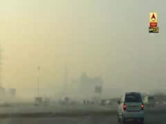 Easy To Keep Indoor Plants To Fight Air Pollution | ABP Uncut