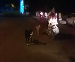 Village News | माझं गाव माझा जिल्हा | राज्याच्या कानाकोपऱ्यातील बातम्यांचा आढावा | ABP Majha