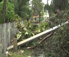 Reporter Stories: 'বুলবুল'-এর দাপটে ক্ষতিগ্রস্ত পূর্ব মেদিনীপুরের বিস্তীর্ণ এলাকা