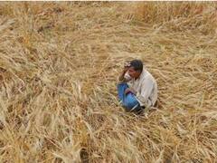 મારું ગામ, મારી વાતઃ અમરેલીના કુકાવાવના ખેડૂતો સાથે પાક નિષ્ફળ જવા મુદ્દે ખાસ વાત