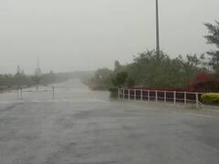 અમરેલીઃ કમોસમી વરસાદથી જિલ્લાના ખેડૂતો પાયમાલ, મોટા આંકડીયા ગામથી જુઓ ABP અસ્મિતાનો અહેવાલ