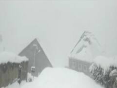 Snowfall comes to a halt in Himachal