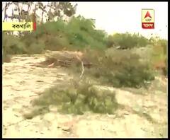 বুলবুলের তাণ্ডব, বকখালিতে ভেঙেছে বাড়ি, উপড়েছে বিদ্যুতের খুঁটি