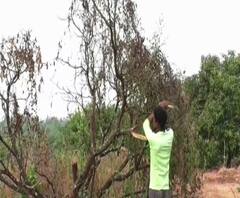 माझं गाव माझा जिल्हा | राज्याच्या कानाकोपऱ्यातील बातम्यांचा आढावा | ABP Majha