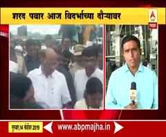 Sharad Pawar | शरद पवार आज विदर्भ दौऱ्यावर, परतीच्या पावसामुळे झालेल्या नुकसानाची पाहणी करणार | ABP Majha 