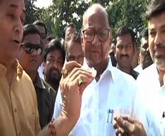 Sharad Pawar | शरद पवारांनी विदर्भात नुकसानग्रस्त भागांची केली पाहणी, शेतकरी म्हणतात... | ABP MAJHA