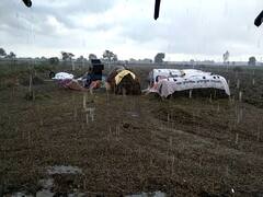 વાદળ છાયા વાતાવરણ બાદ માળીયા હાટીમાં વરસાદ પડતા ઘાસચારાને મોટુ નુકશાન, જુઓ વીડિયો