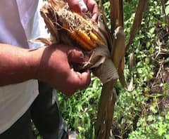 State News | राज्यातील महत्त्वाच्या घडामोडींचा आढावा एका क्लिकवर | बातम्या सुपरफास्ट | ABP Majha