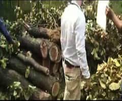 Reporter Stories: দুর্গাপুরে আধুনিক মর্গ তৈরী করতে অবাধে কাটা হচ্ছে গাছ, প্রতিবাদ বিজেপি ও পরিবেশপ্রমী সংস্থার