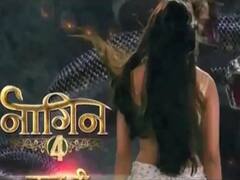 Naagin 4: Jasmine will play 'Nayantara's' Character