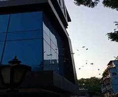 ডিআরএই-এর তল্লাশির সময় বেন্টিঙ্ক স্ট্রিটের বহুতল থেকে ফেলা হল ৩ লক্ষ ৭৪ হাজার টাকার নোট, কুড়োতে ভিড় স্থানীয়দের