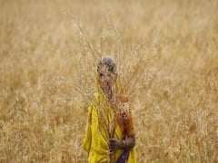 રૂપાણી સરકારના કરોડો રૂપિયાની સહાયના નિર્ણયને રાજકોટના ખેડૂતોએ આવકાર્યો 