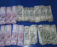 ইএম বাইপাসে দিল্লিবাসী তরুণীর ব্যাগ ও মোবাইল ফোন ছিনতাই, পাকড়াও ৩ দুষ্কৃতী