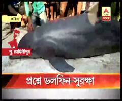 পূর্ব মেদিনীপুরে ডলফিনের ময়নাতদন্তের ভিডিও ভাইরাল! প্রশ্নের মুখে বন দফতর