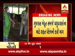 ગુજરાત ખેડૂત સમાજે પશુપાલકો માટે રાહત પેકેજની કરી માંગ,જુઓ વીડિયો