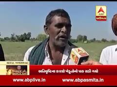 બનાસકાંઠાના ચારડા ગામના ખેડૂતો સાથે ખેતીમાં નુકસાન મુદ્દે ખાસ વાત