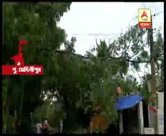 বুলবুলের দাপটে ক্ষতিগ্রস্তদের জন্য কী কী পদক্ষেপ নিয়েছে রাজ্য সরকার? 