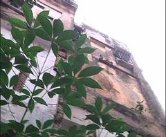 Reporter Stories: ভবানীপুরে বহুতল থেকে উদ্ধার ব্যবসায়ীর দেহ, আত্মহত্যা বলে অনুমান পুলিশের