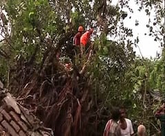 রাজ্যের উপকূলবর্তী তিন জেলায় তাণ্ডব চালিয়ে ঘূর্ণিঝড় ‘বুলবুল’ বাংলাদেশের পথে