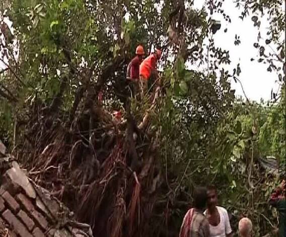 রাজ্যের উপকূলবর্তী তিন জেলায় তাণ্ডব চালিয়ে ঘূর্ণিঝড় ‘বুলবুল’ বাংলাদেশের পথে