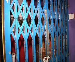 Reporter Stories: মাদক কারবারীকে গ্রেফতার করতে গিয়ে পোষ্য কুকুরের কামড়ে গুরুতর জখম কলকাতা পুলিশের ডগ স্কোয়াডের কনস্টেবল