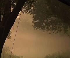 Reporter Stories: কুয়াশায় মোড়া সকালের শহর, বাড়ল তাপমাত্রা