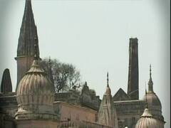 Ayodhya के मंदिर में रामलला के साथ सीता जी की मूर्ति क्यों नहीं है ? क्या है वजह ? देखिए रिपोर्ट